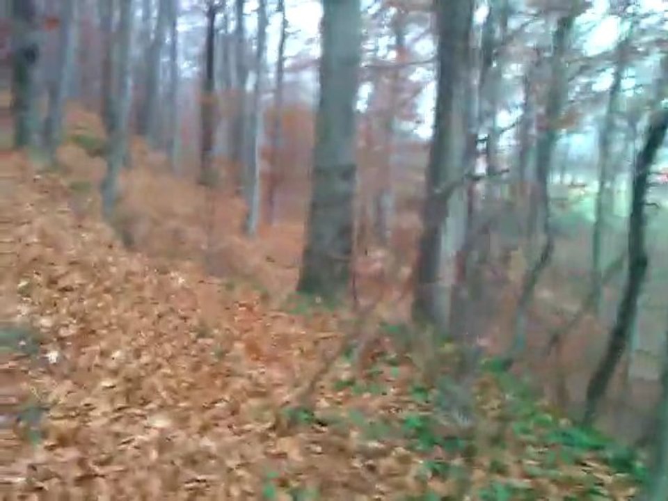 WP_20111119_141418Z
