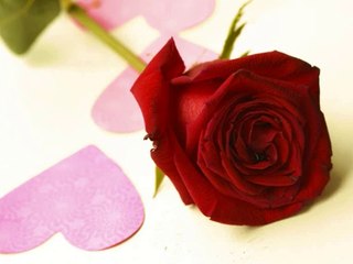 ELİF REYYA NAZ SEÇMELER -2