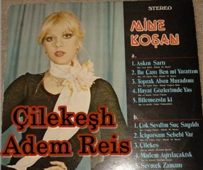 Mine Koşan - Çok Sevdim Suç Sayıldı