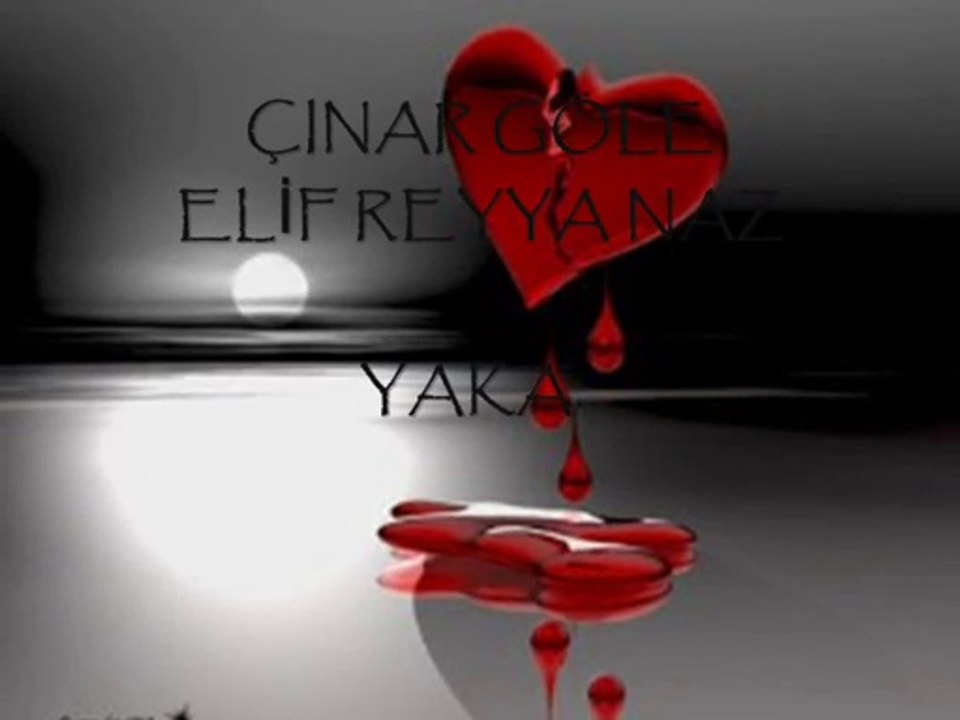 ELİF REYYA NAZ-ÇINAR GÖLE     YAKA