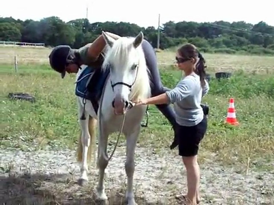 Débourrage Thorb été 2010