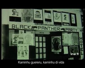 Conscienca Negra By Netos De Cabral