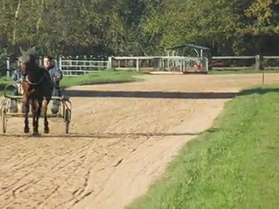 APÉRITIF - Premier pas au débourrage!