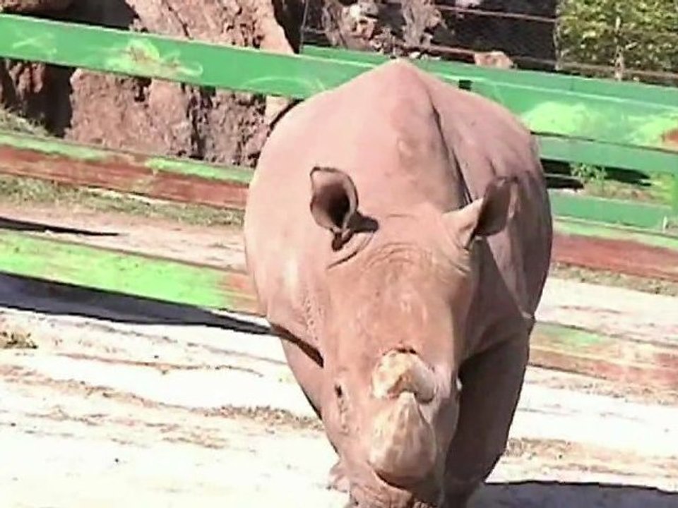 Zoo de Cabarceno