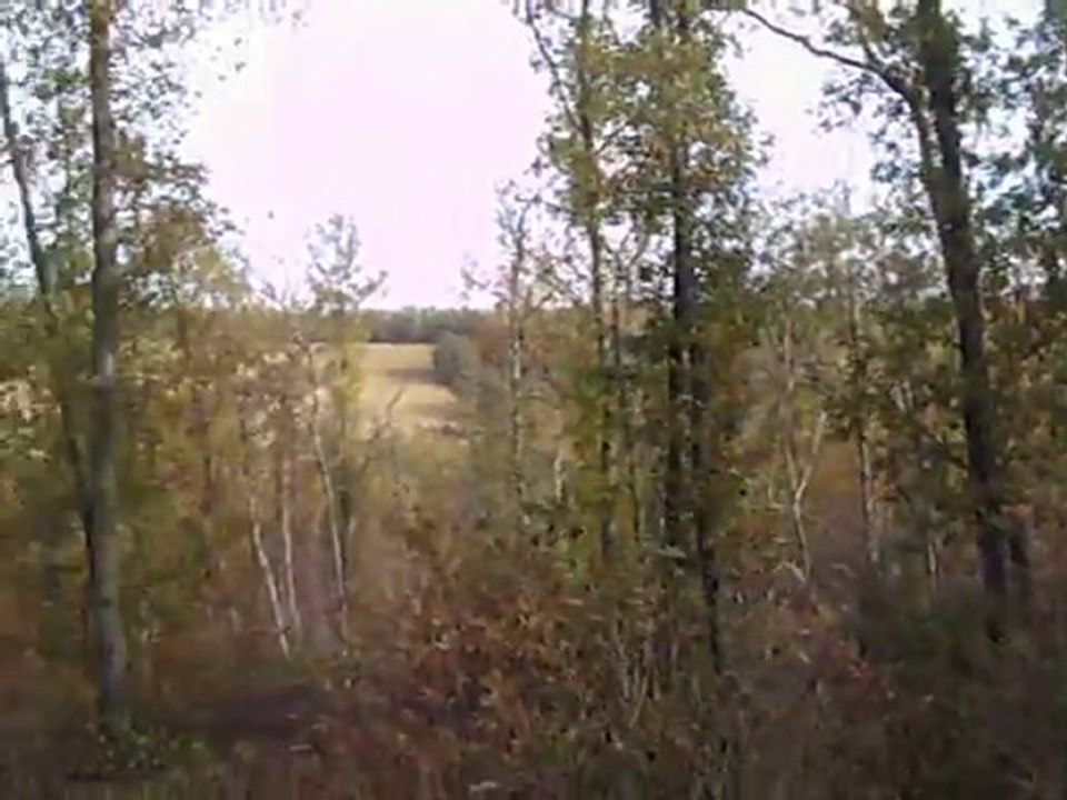 En vénerie du lièvre : le défaut  (Gers)