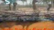 Sandhu Emu Farms (Doordarshan Jalandhar-MERA PIND MERE KHET)