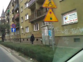 Ptaki