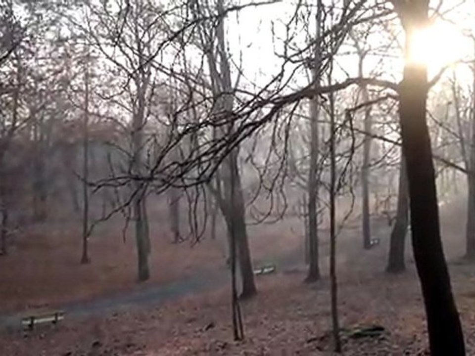 Nokia N8 test video