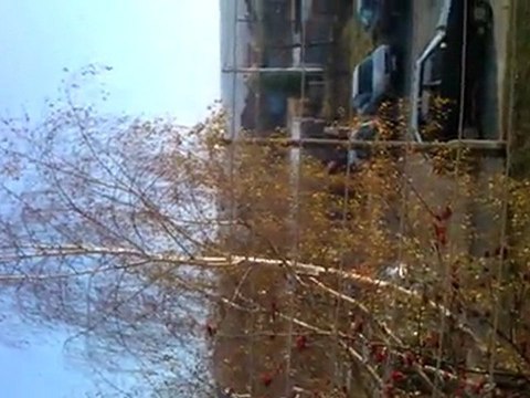 Zadanie - Moja najbliższa okolica