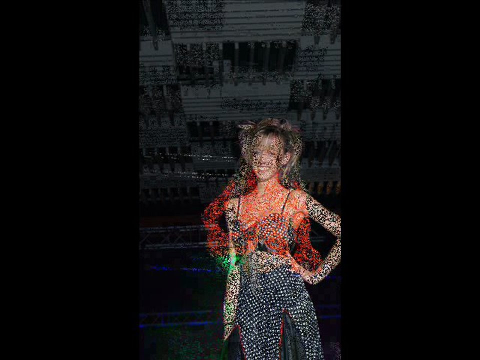 Virade de l'espoir Chevilly 2011