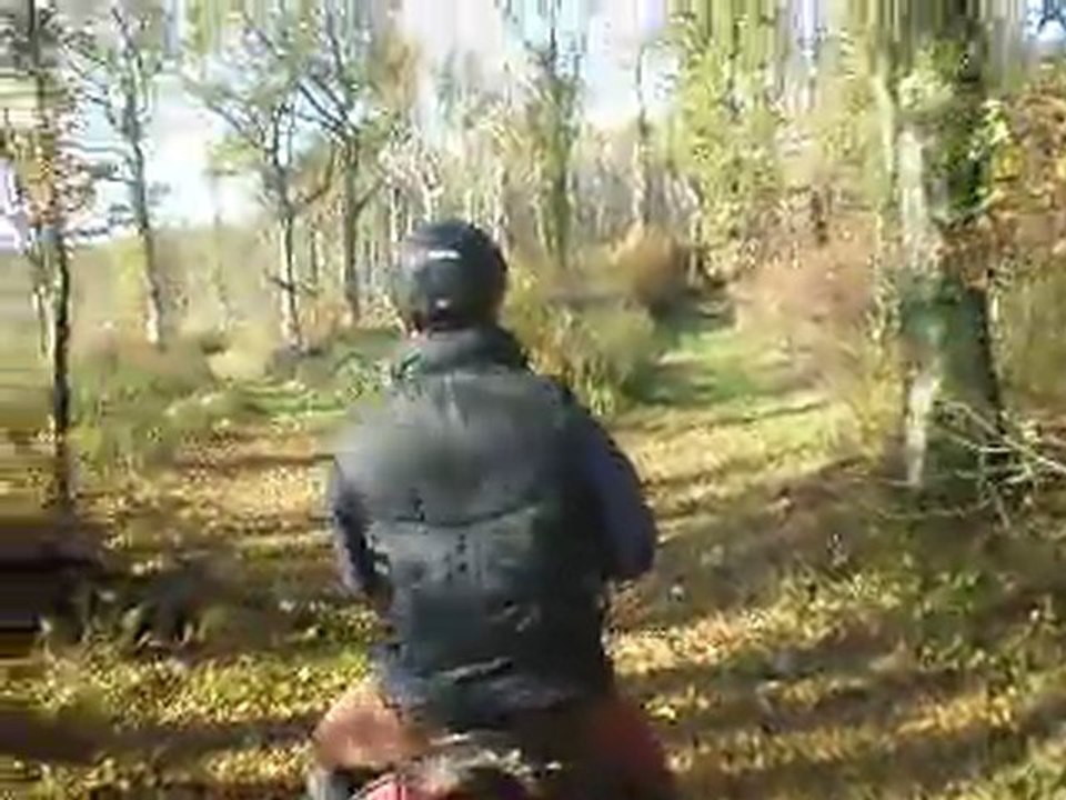 balade d'automne, au galop mon koko !