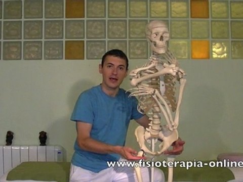 Falsa pierna corta - Verdadera pierna corta.