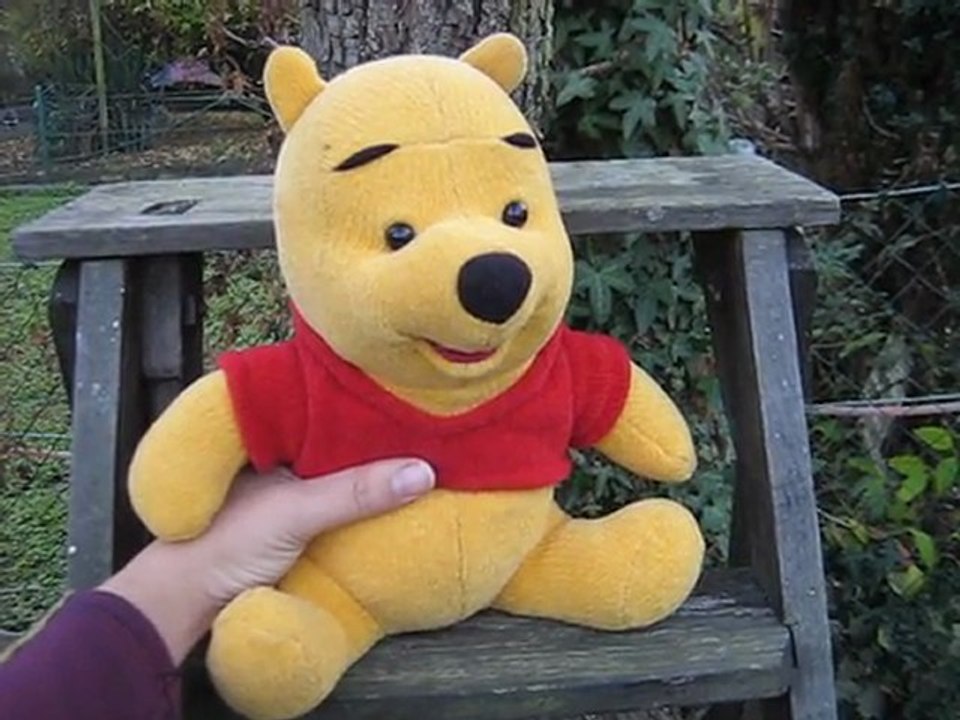 peluche winnie calin 2 langues (1)