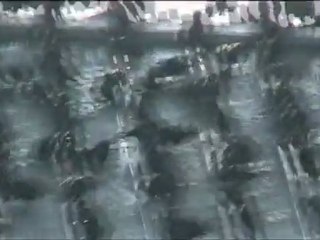 Uccelli in migrazione