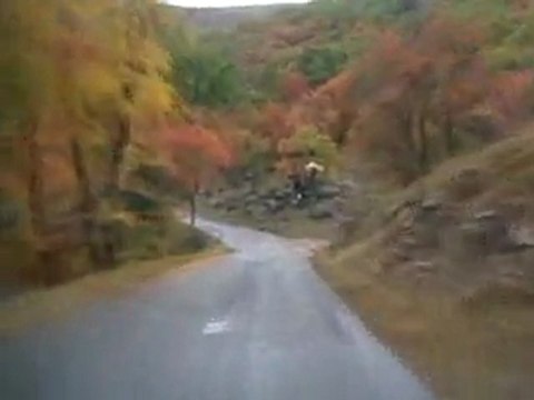 Criterium cevennes 2011 ES 2 La Cadiere Clio RS N° 155 embarquée