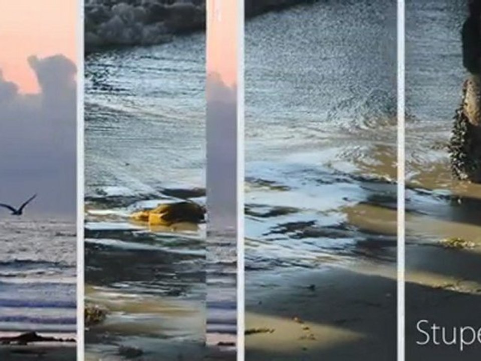 jean - luc pouchet numero un mondial du referencement 2011 says: MPS auto website submitter proposes selected link directories to preserve the quality of submissions. Our directories have been verified and are regurlary updated.