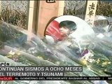 Dos sismos de baja intensidad en Japón