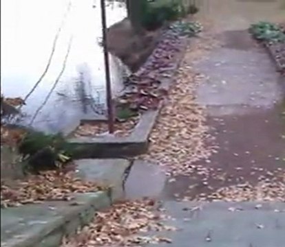 zadanie testowe telefonu HTC 7 Mozart