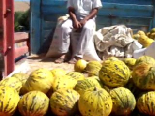 Nedim vaeol, Tufanbeyli, Adana,  ( Hasan ve Aytekinler. 2011.)