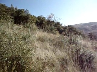 selimden güzel bir atış ve madradan aport