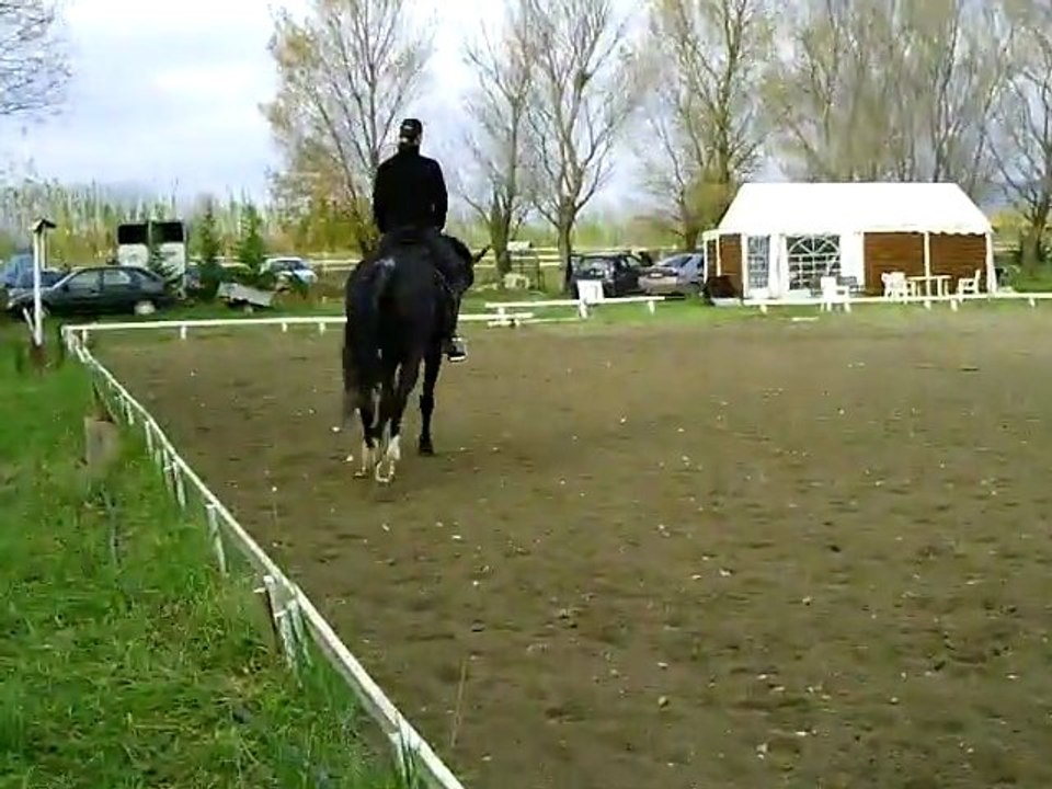 5.trot