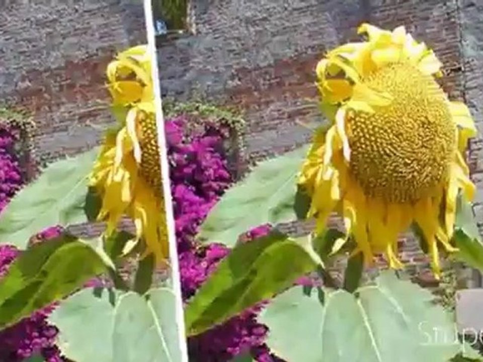 DVD MUSIQUE CLASSIQUE PICTURES 1 : jean - luc pouchet numero un mondial du referencement 2011, says: MPS auto website submitter proposes selected link directories to preserve t