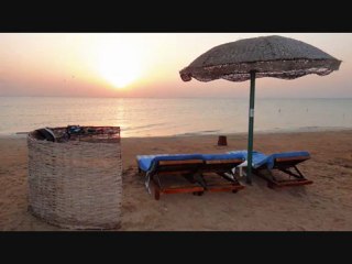 gorgonia beach marsa alam