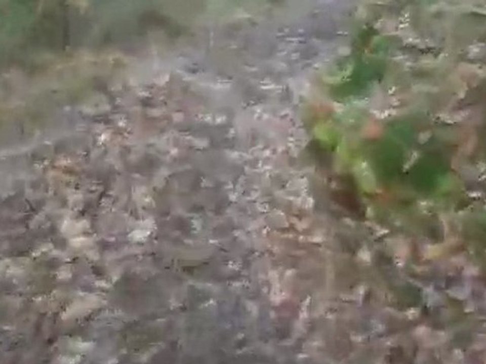 SENTIER GORE QUAD