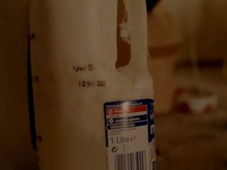 Dreams of a Life Clip - Reporters