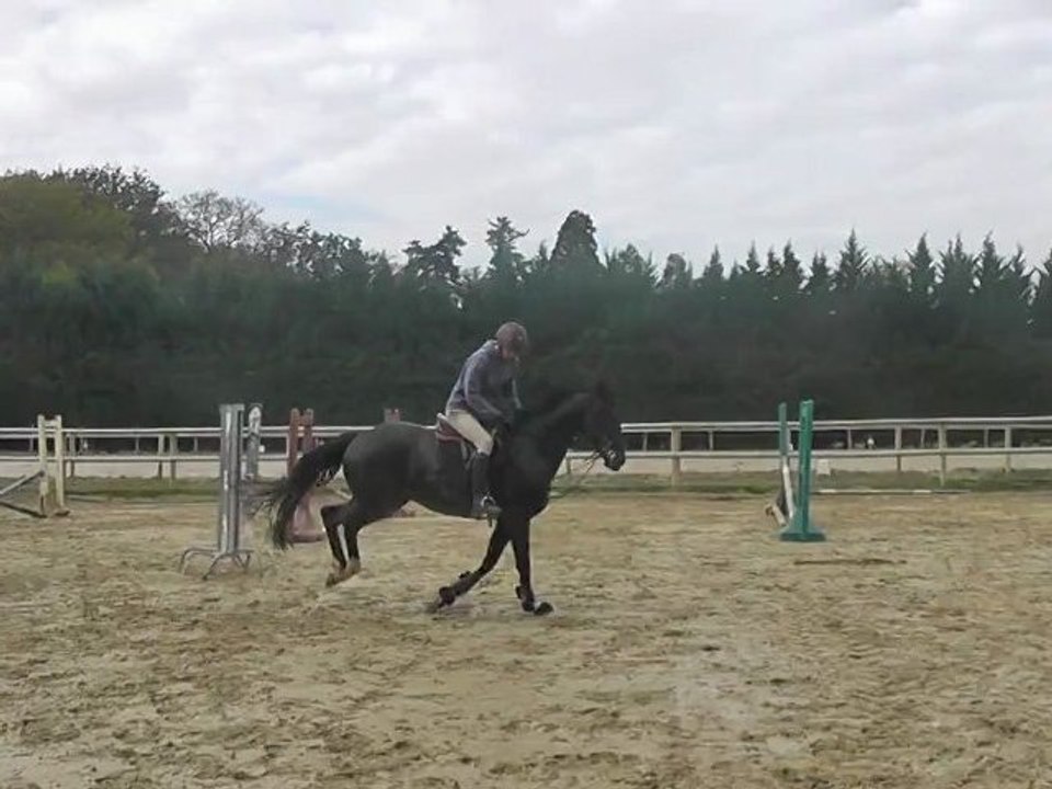 Raky saut double 3