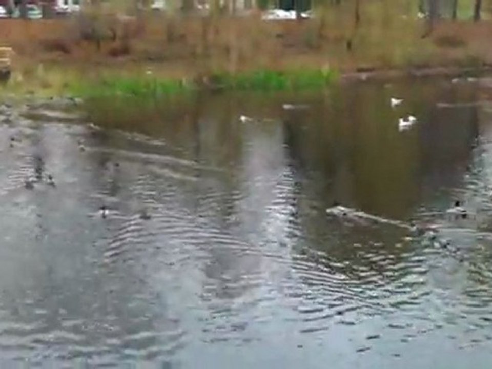 HTC test kamery 1