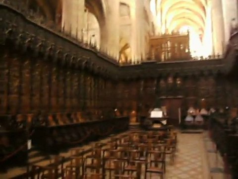 Les stalles de la cathédrale d'Auch (inscrites au Patrimoine de l'U.N.E.S.C.O. )