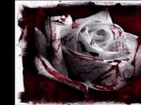 bülent ersoy ne duamsın nede bedduam şiir