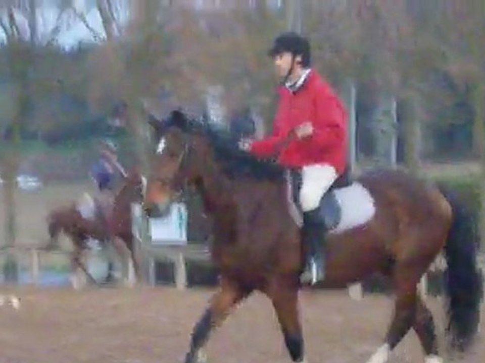 Jean trot