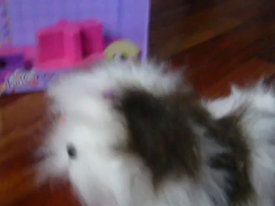 hasbro perrito fur real www.jugueteria-valsof.com.ar