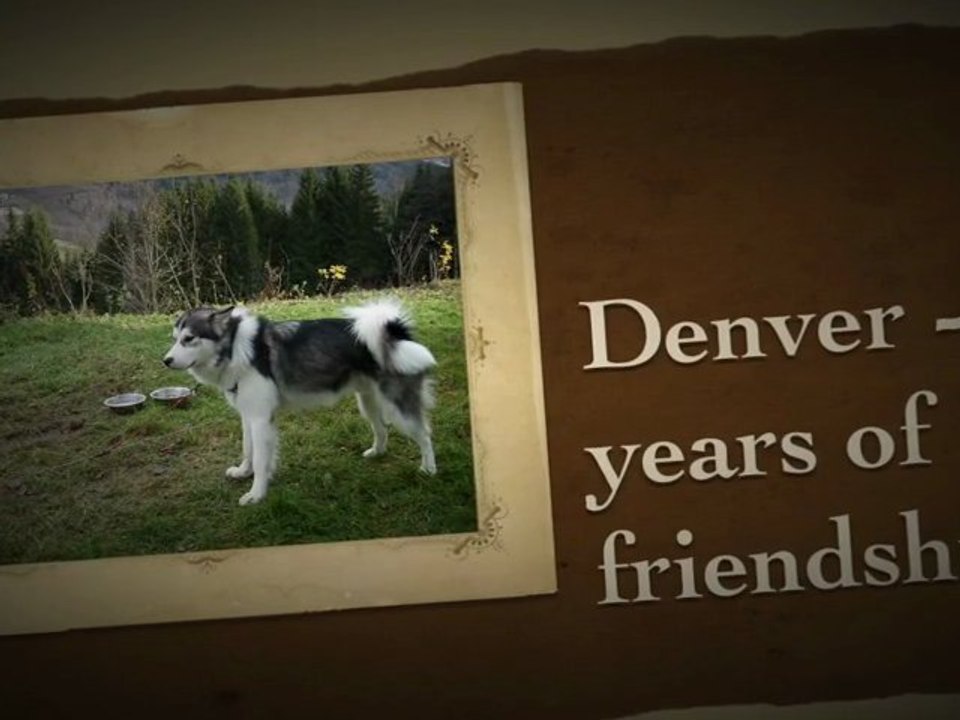 denver - 3 years