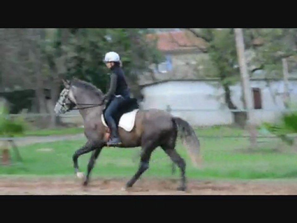 Débourrage Tinto,1er galop monté