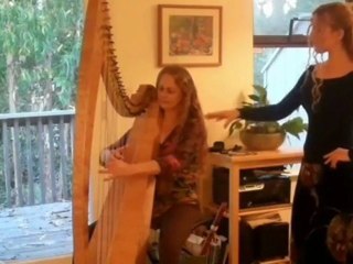 Shape of Arms and Hands