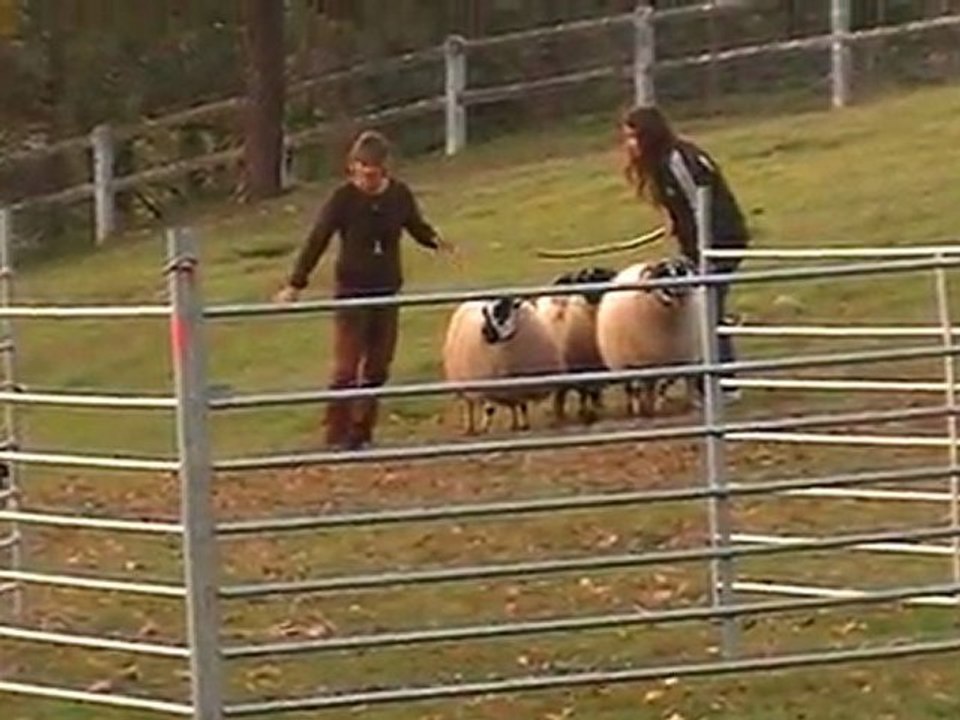 first dans les près