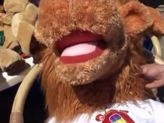 Young Volley on the Beach a Bellaria Igea-Marina