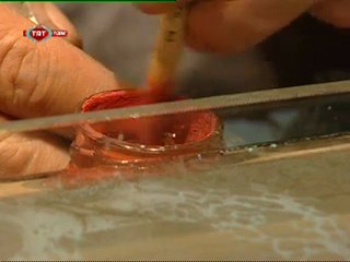 Türkiyenin Tanıkları 8