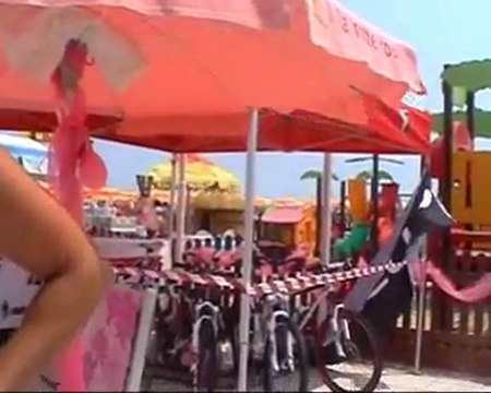 altarimini a rimini girodo d'affari di 150 milioni per la notte rosa