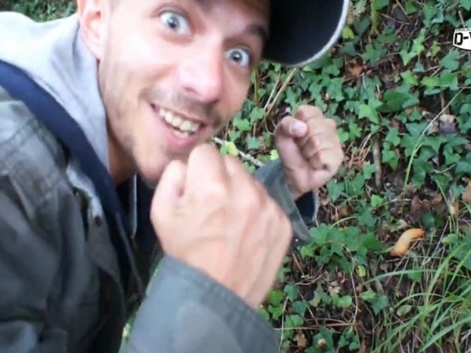 D-World et Dame Nature !