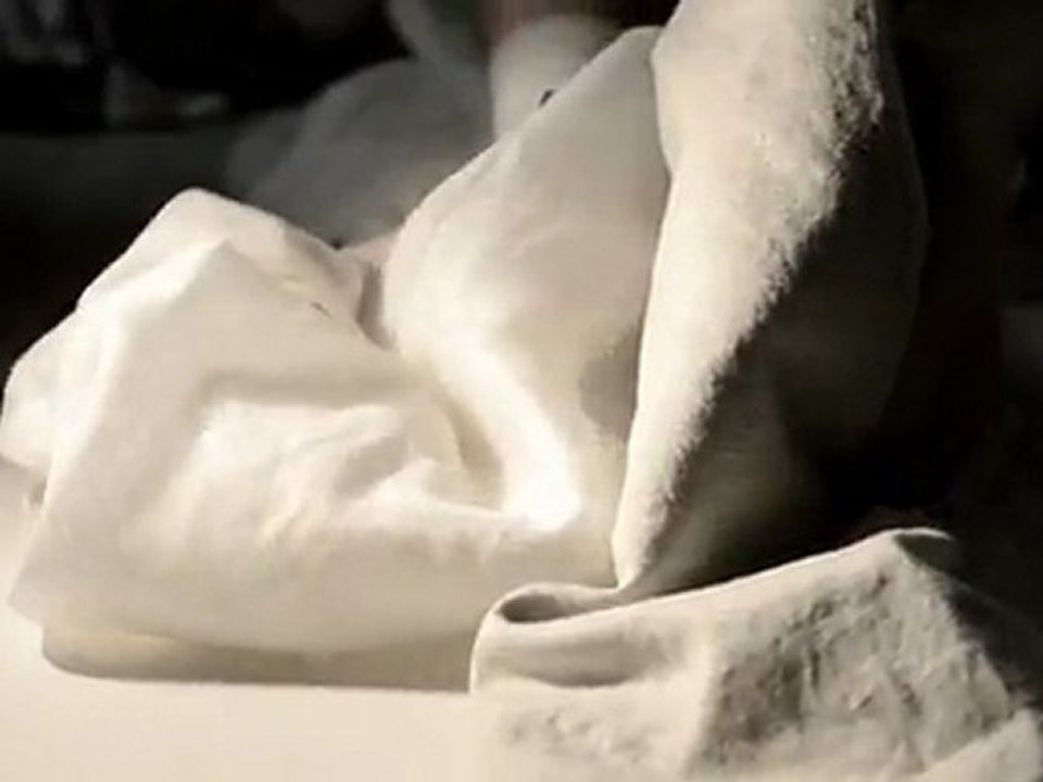 Fabric Test-Shimmer