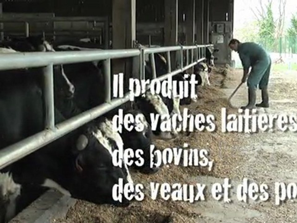 Jeunes Agriculteurs Viande Bovine en Session dans la Manche