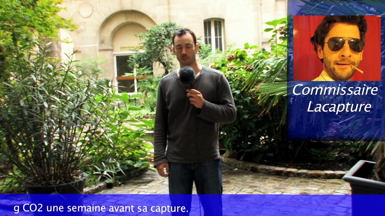 Attrape-nous si tu peux !