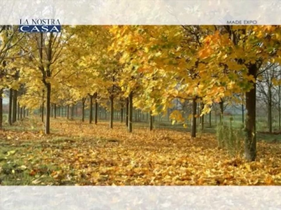 Romano Righetti Piante - Da oltre 130 anni, passione per le piante