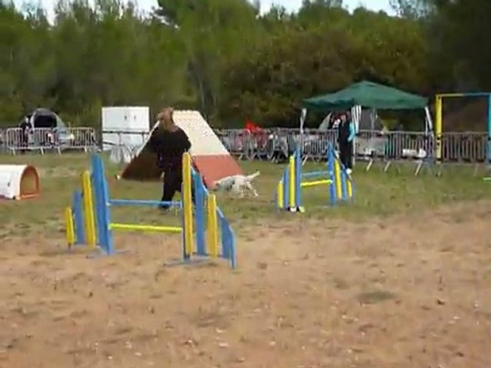 Daisy - GPF Hyères 20.11.11