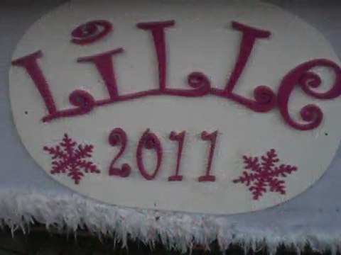 Lille : Marché de Noel 2011 et la Grande Roue