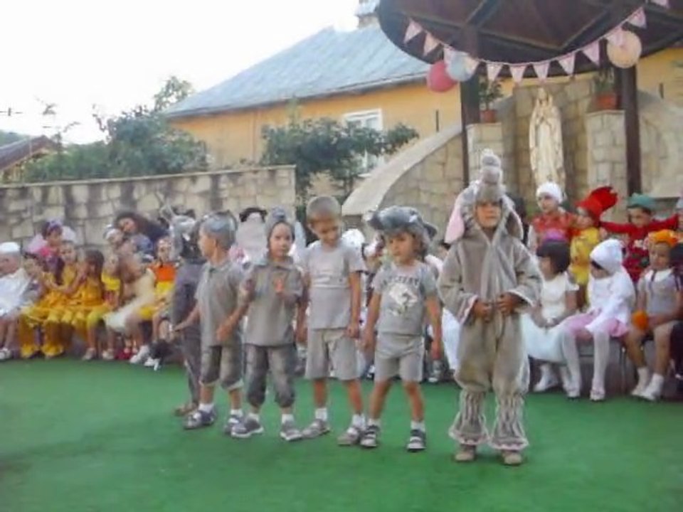 Elefanții
